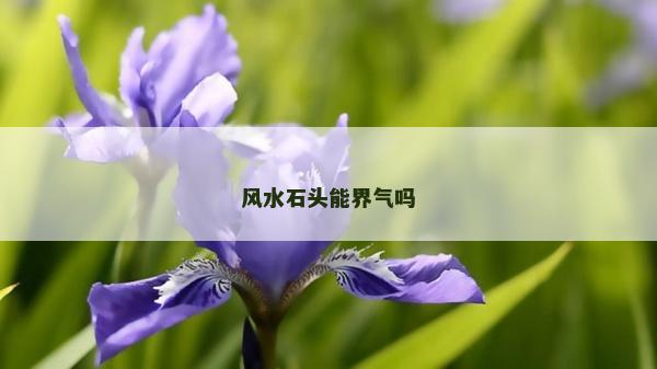 风水石头能界气吗