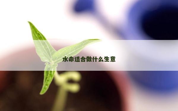 水命适合做什么生意