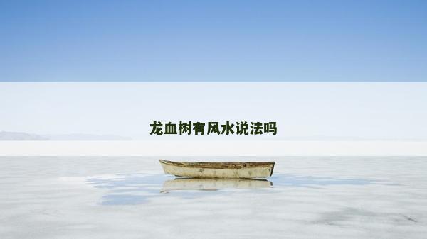 龙血树有风水说法吗