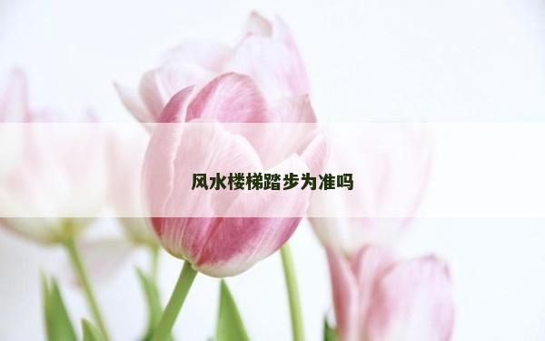 风水楼梯踏步为准吗