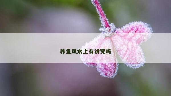养鱼风水上有讲究吗
