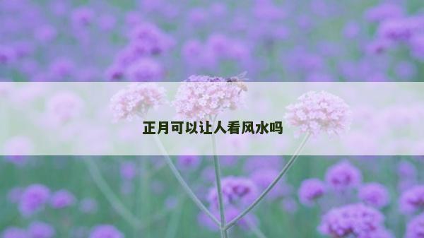 正月可以让人看风水吗