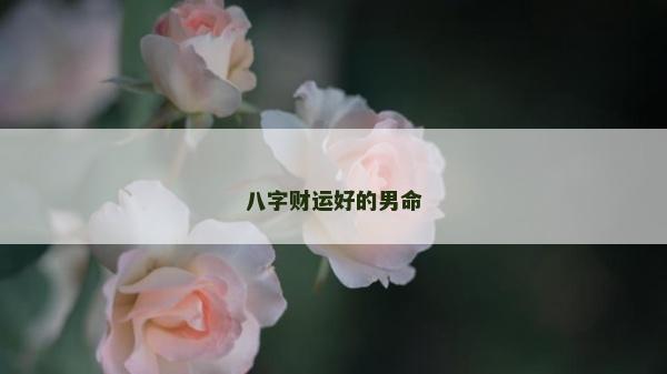 八字财运好的男命