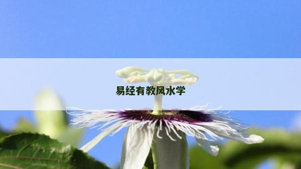 易经有教风水学