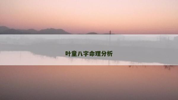 叶童八字命理分析