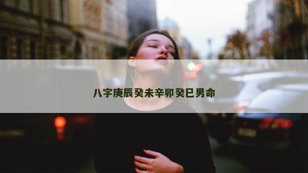 八字庚辰癸未辛卯癸巳男命