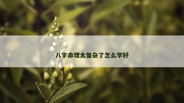 八字命理太复杂了怎么学好