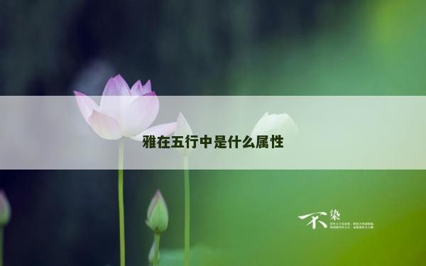 雅在五行中是什么属性