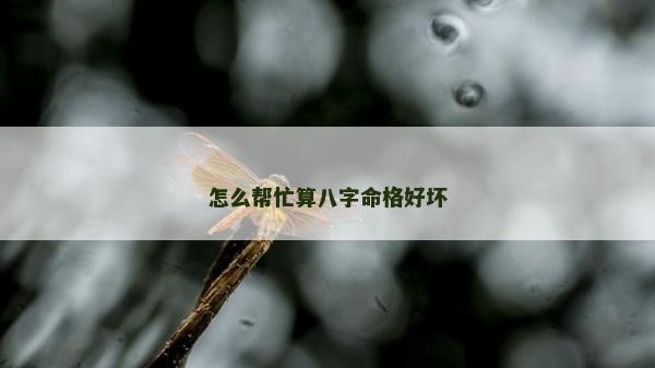 怎么帮忙算八字命格好坏