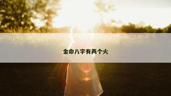金命八字有两个火