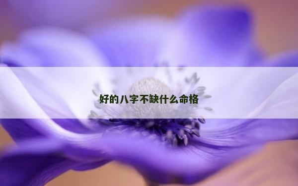 好的八字不缺什么命格
