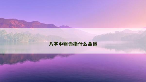 八字中财命指什么命运