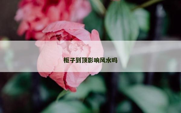 柜子到顶影响风水吗