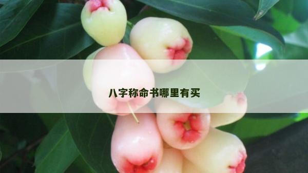 八字称命书哪里有买
