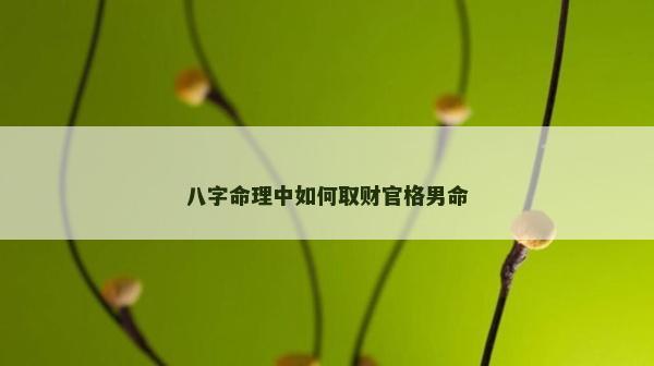 八字命理中如何取财官格男命