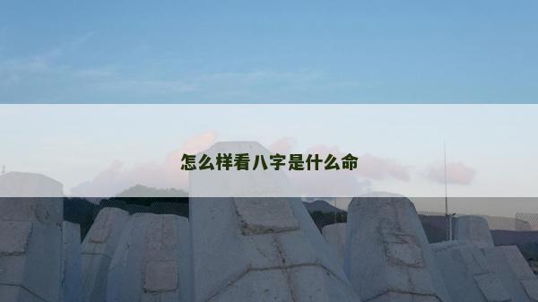 怎么样看八字是什么命