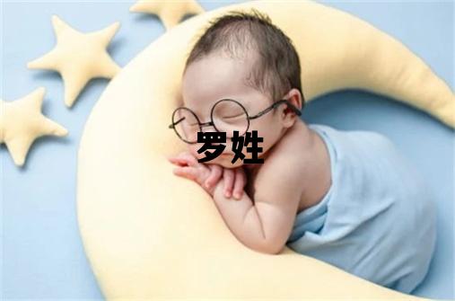 罗姓有诗意的男孩名字