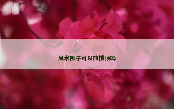 风水狮子可以放楼顶吗