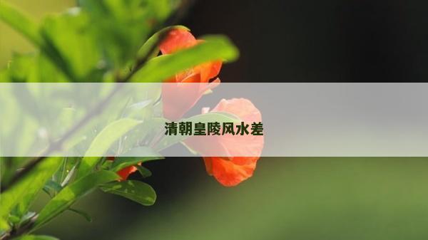 清朝皇陵风水差
