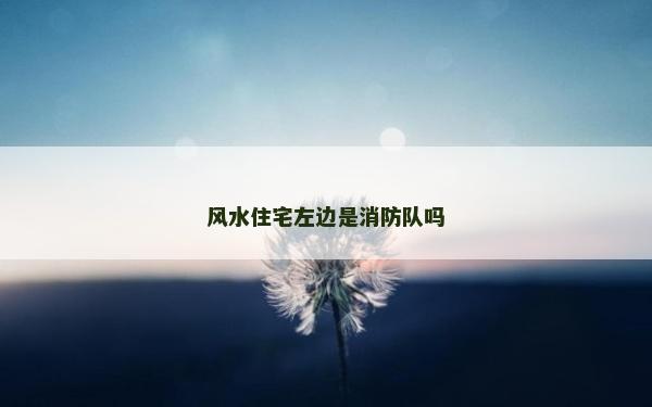 风水住宅左边是消防队吗