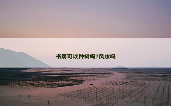 书房可以种树吗?风水吗