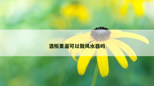 酒柜里面可以做风水器吗