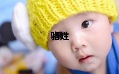 骆姓有含义的男孩名字,取什么名字好