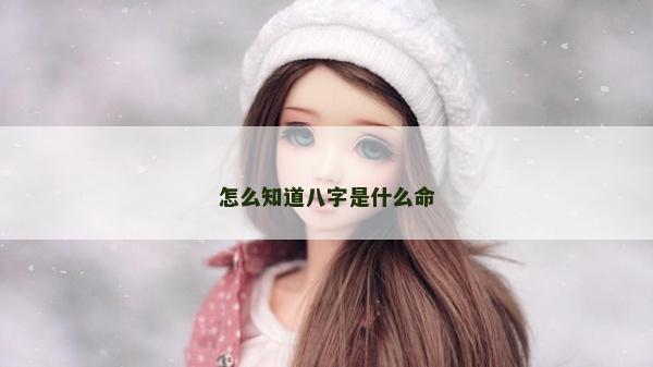 怎么知道八字是什么命