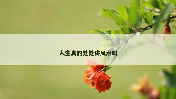 人生真的处处讲风水吗