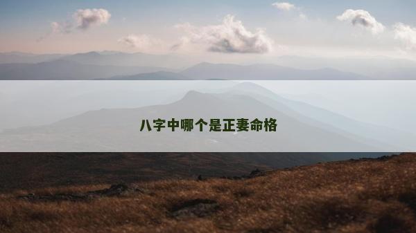 八字中哪个是正妻命格