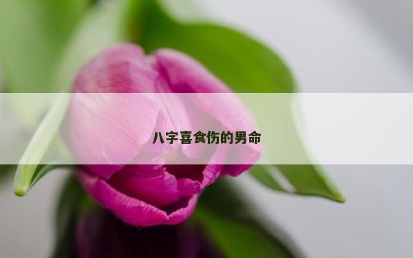 八字喜食伤的男命