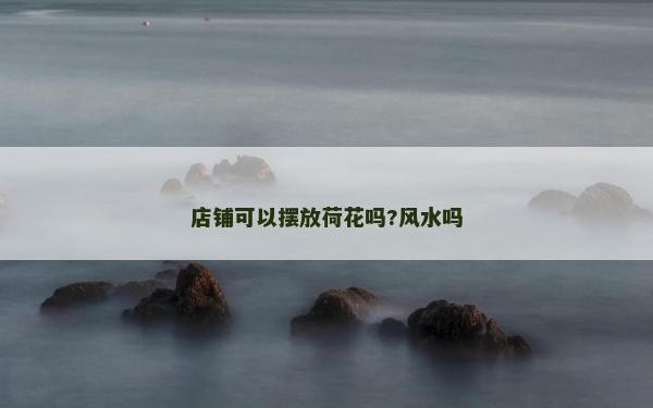 店铺可以摆放荷花吗?风水吗