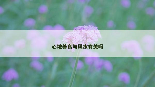 心地善良与风水有关吗