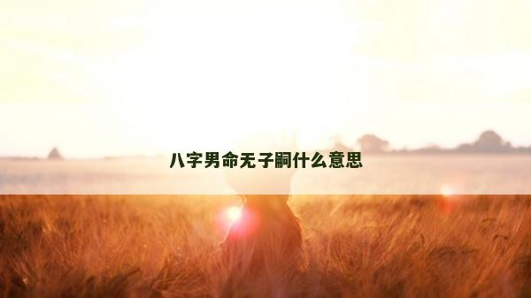 八字男命无子嗣什么意思