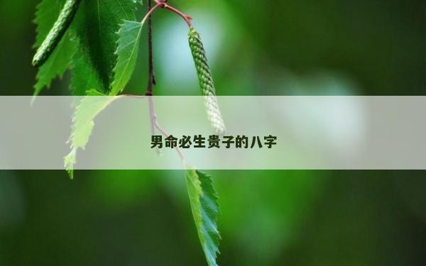 男命必生贵子的八字