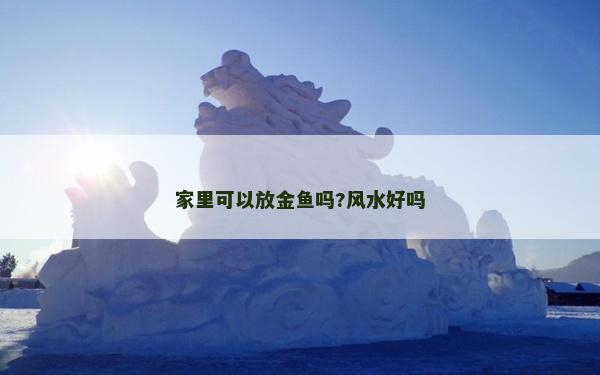 家里可以放金鱼吗?风水好吗