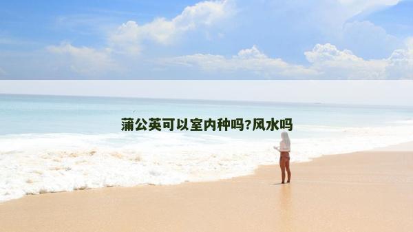 蒲公英可以室内种吗?风水吗