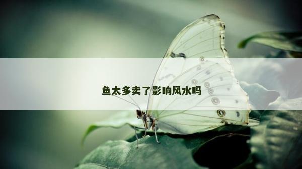 鱼太多卖了影响风水吗