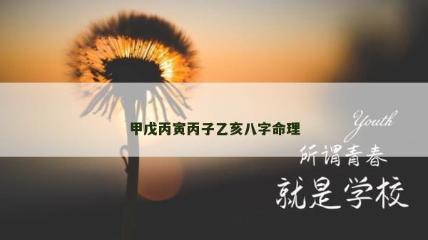 甲戊丙寅丙子乙亥八字命理