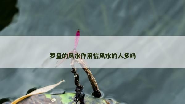 罗盘的风水作用信风水的人多吗