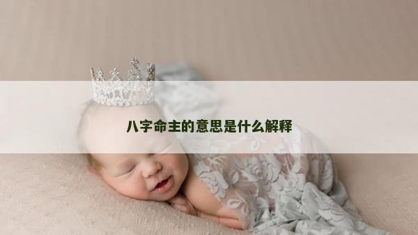 八字命主的意思是什么解释