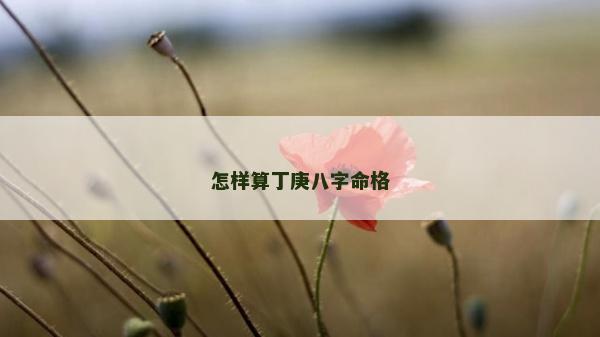 怎样算丁庚八字命格