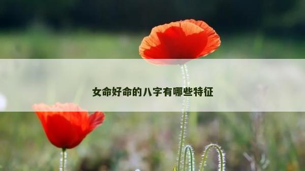 女命好命的八字有哪些特征