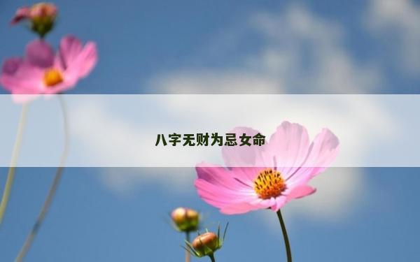 八字无财为忌女命