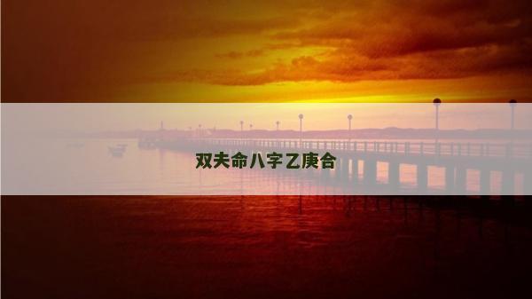 双夫命八字乙庚合