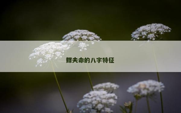 鳏夫命的八字特征