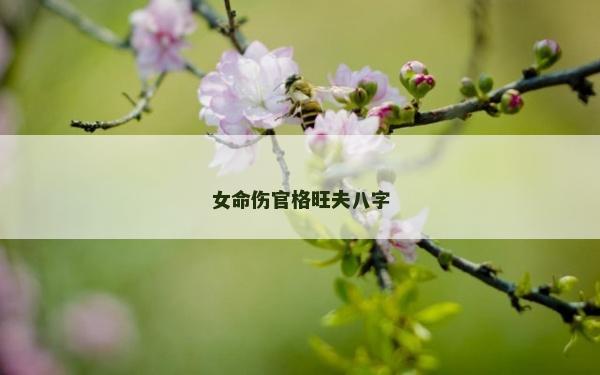 女命伤官格旺夫八字