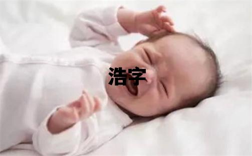 浩字取名的寓意 浩字取名的寓意男孩
