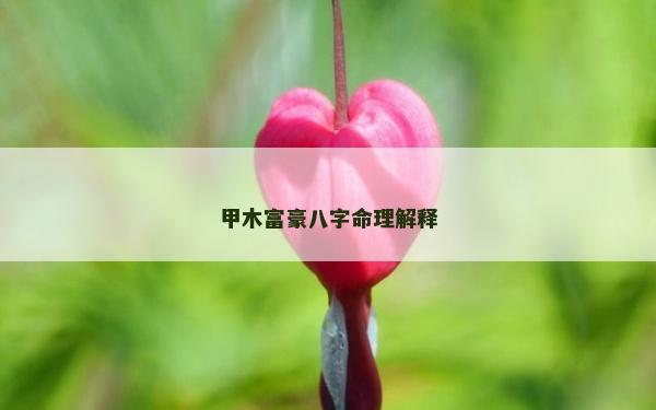 甲木富豪八字命理解释