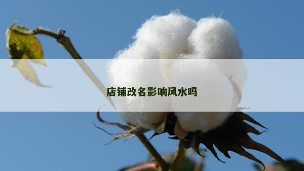 店铺改名影响风水吗